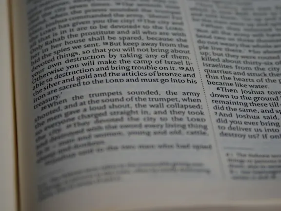 Hejgo Casino Stuðningur